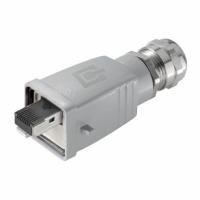 RockStar RJ45 Variante 5