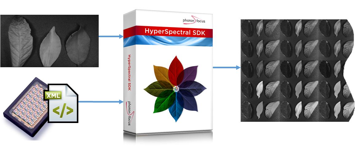 Neues Release des Photonfocus HSI SDK