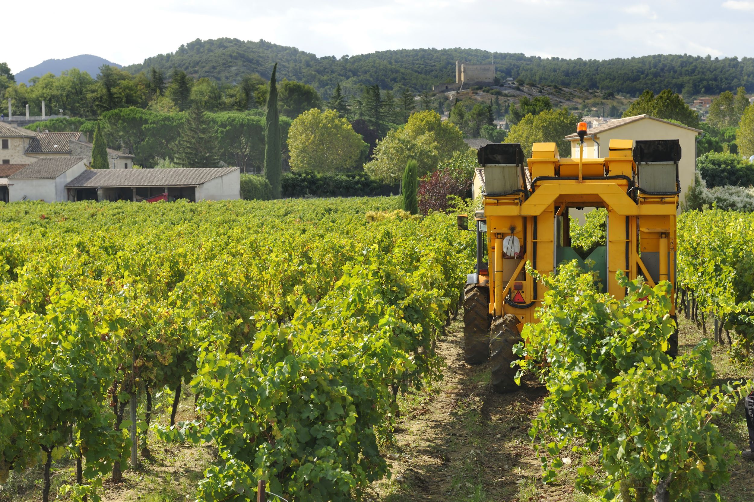 ARM for Vision