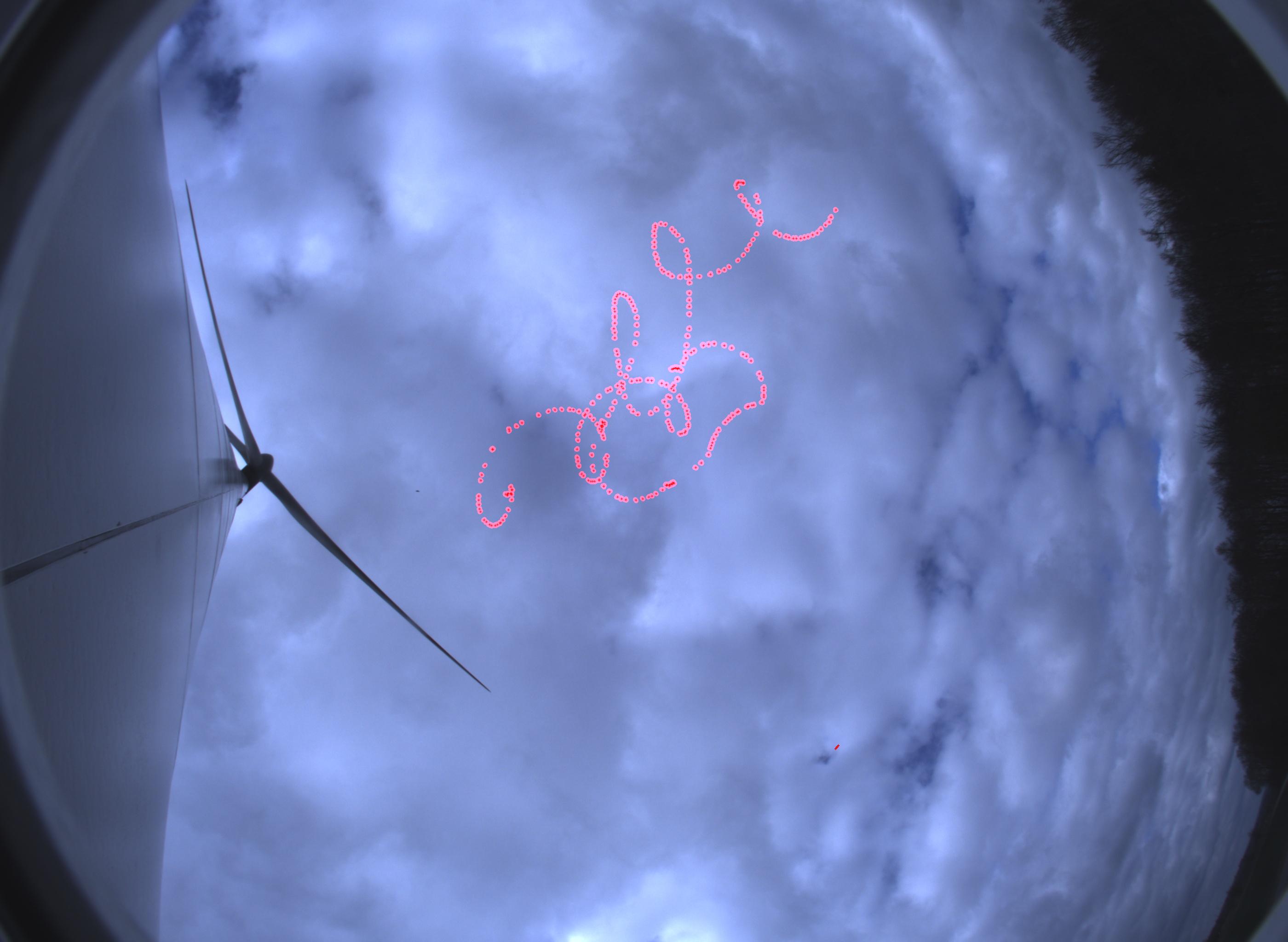 Deep Learning bei Vogeltracking-Systemen für Windkraftanlagen