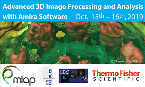 Advanced 3D Image Processing Workshop