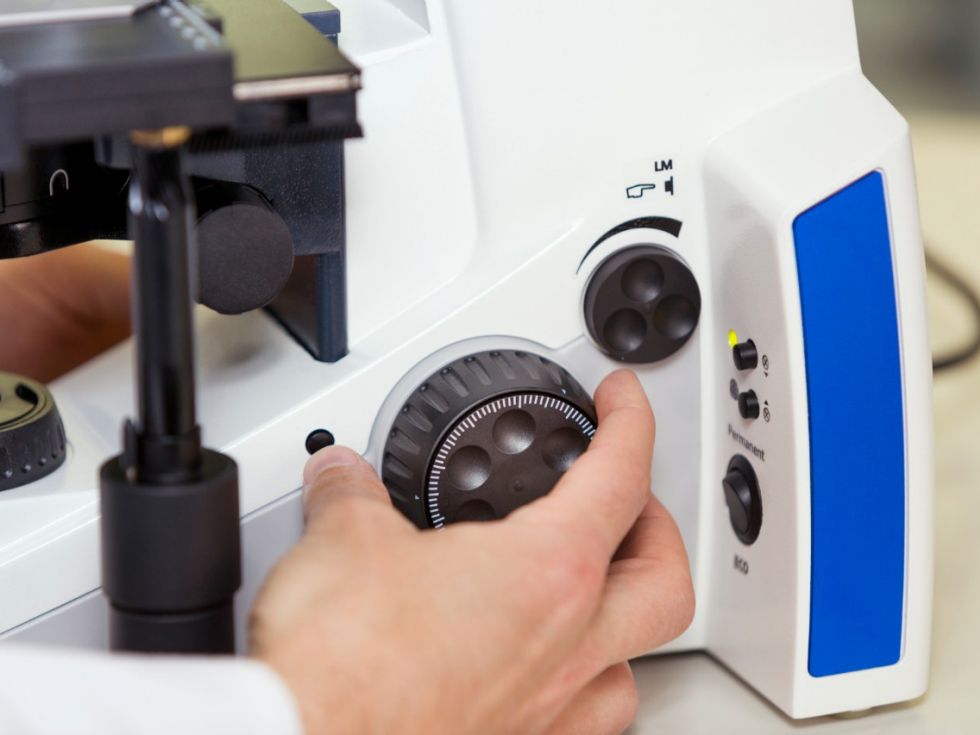 Neuer Leiter Zeiss Research Microscopy Solutions