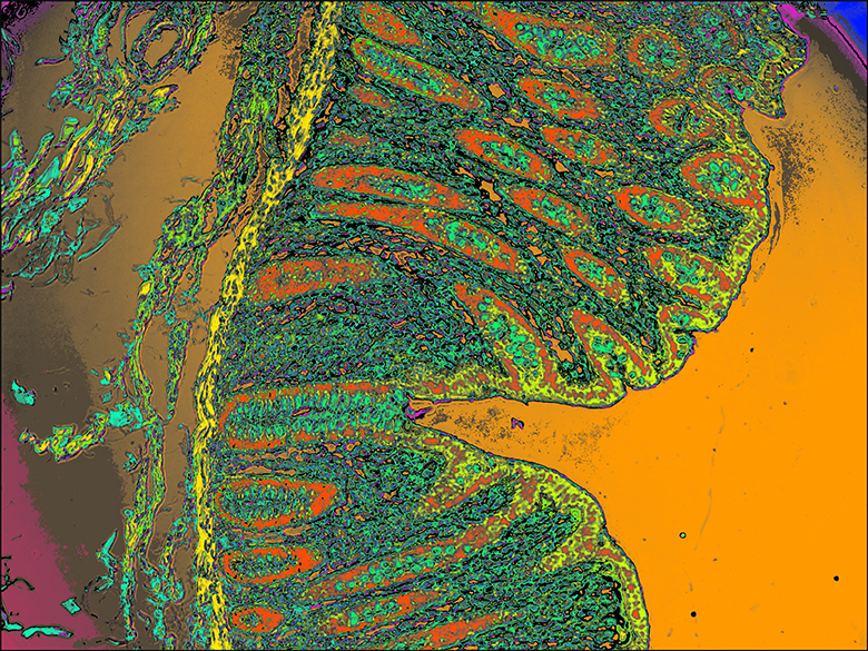Hyperspectral-Marktstudie bis 2024