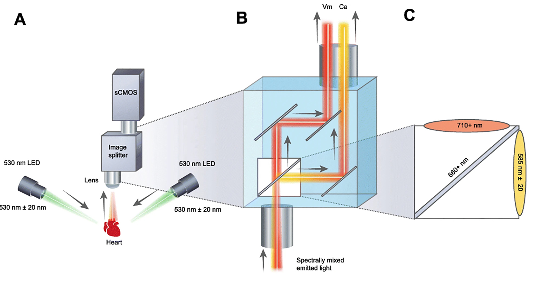 Frame Grabber for new Optical Mapping Platform