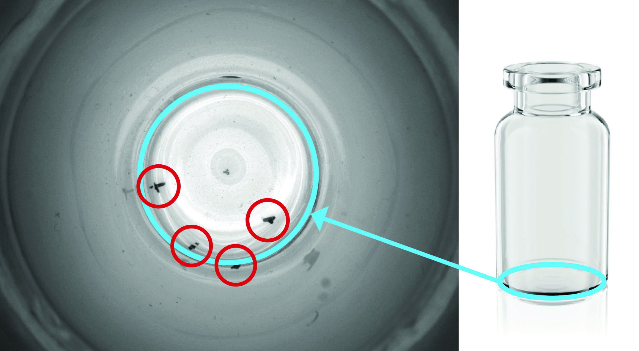 Machine vision lenses for the pharmaceutical industry