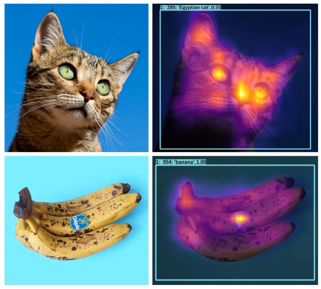 Bild 2 | Die Attention Map zeigt, dass eine Katze anhand der zu erwarteten Merkmale erkannt wurde. Die Aufmerksamkeit des KNN liegt bei den Bananen hingegen auf einem fälschlicherweise trainierten Label, das für eine Datenverzerrung sorgt (Bias).