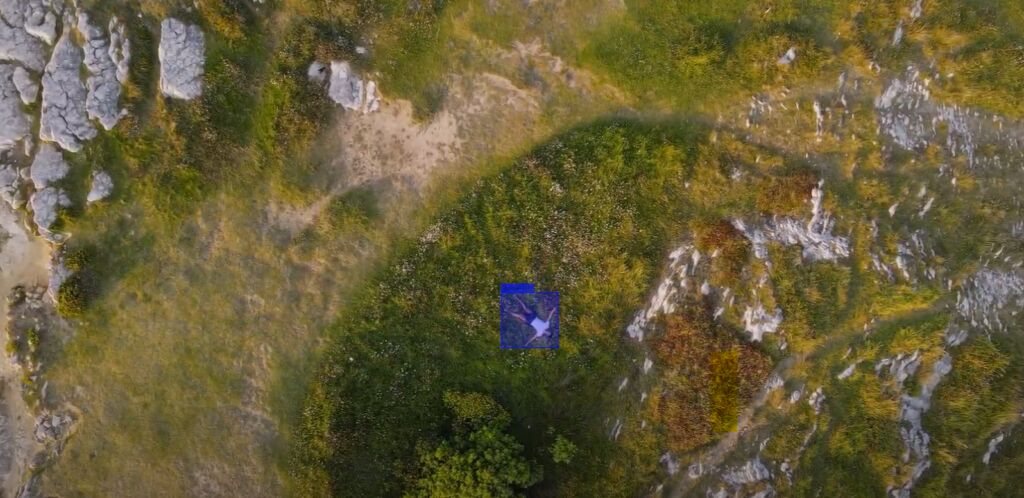 AVT processing Demo drone 6 Search and rescue