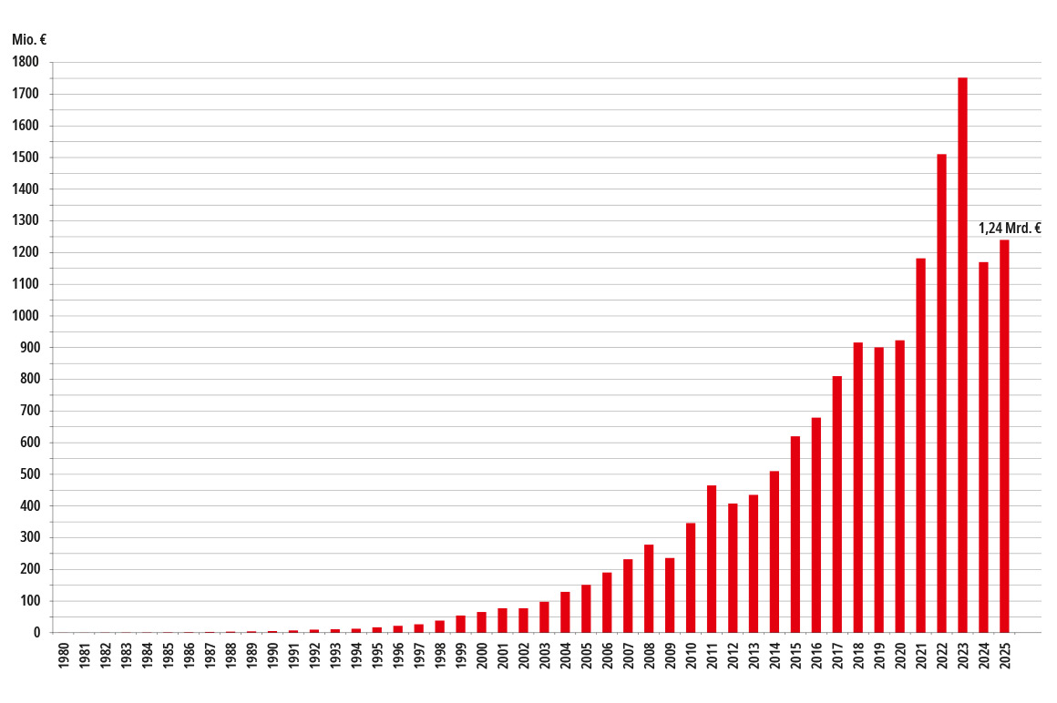 financial year 2025 de