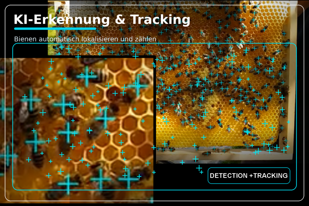 Bild 2 | Selbst exotische Anwendungen wie das Erkennen und Zählen von Bienen lassen sich mit der Aurora Vision Suite lösen.