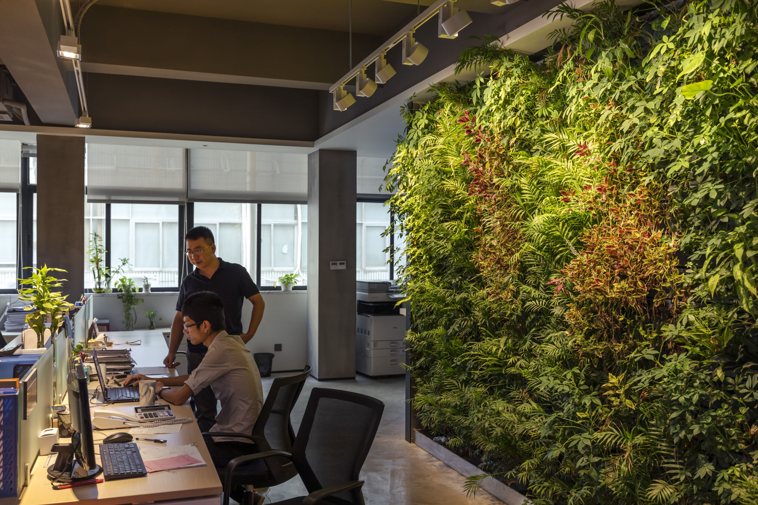 Green Walls schaffen eine angenehme Atmosphäre und verbessern das Raumklima. In Innenräumen spielt der Faktor Licht eine ganz entscheidende Rolle, damit Pflanzen gesund bleiben und gedeihen können. (Qiguang Office, Shenzhen)