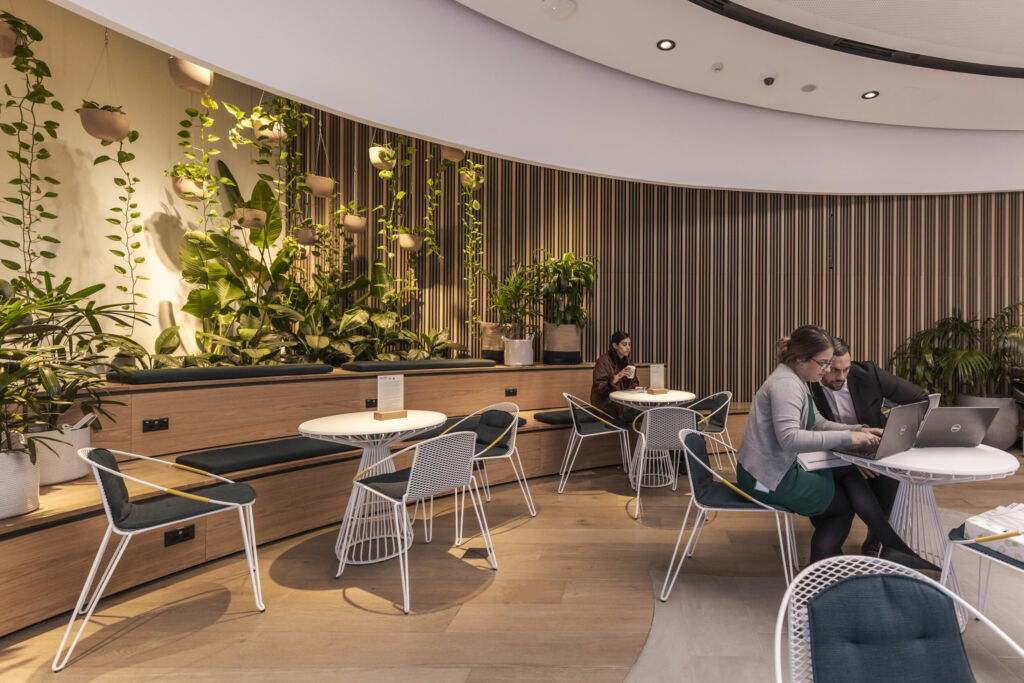 Auch die Anordnung der Leuchten sowie der Abstand zur Wand spielen eine wichtige Rolle bei der Beleuchtung von Pflanzenwänden. (Suncorp Discovery Centre, Sydney)