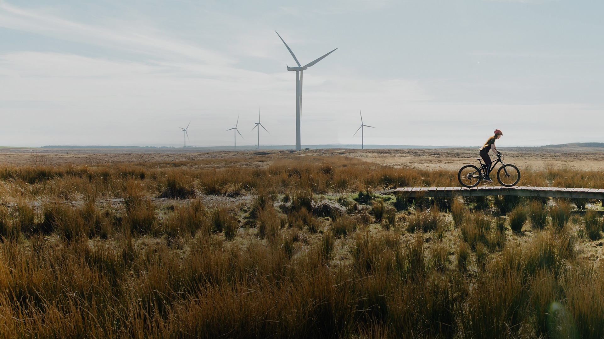 Umfrage zu Herausforderungen der Energiewende