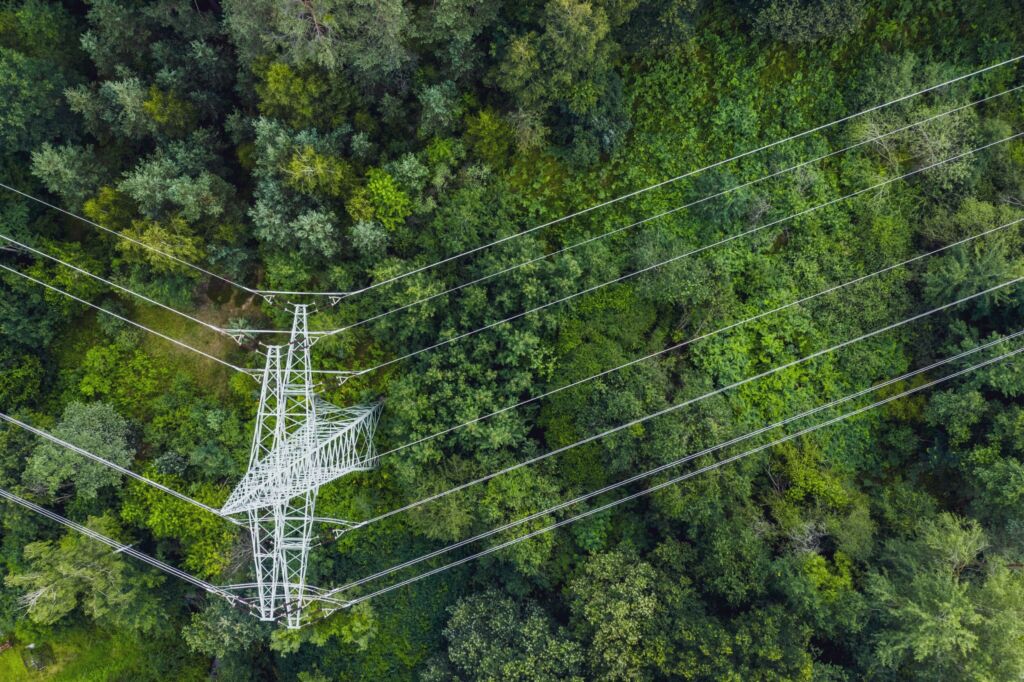 Aerial view of power lines leading through forest