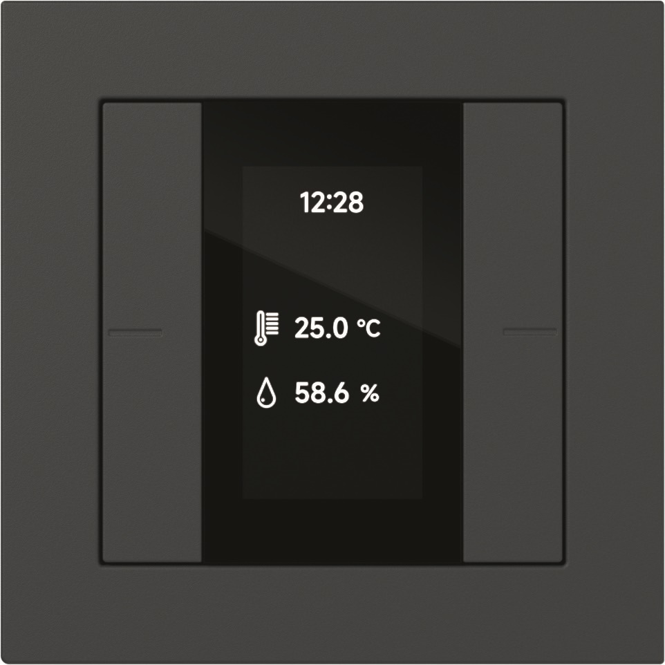 Gira Tastsensor 4.55 Plus 1 1