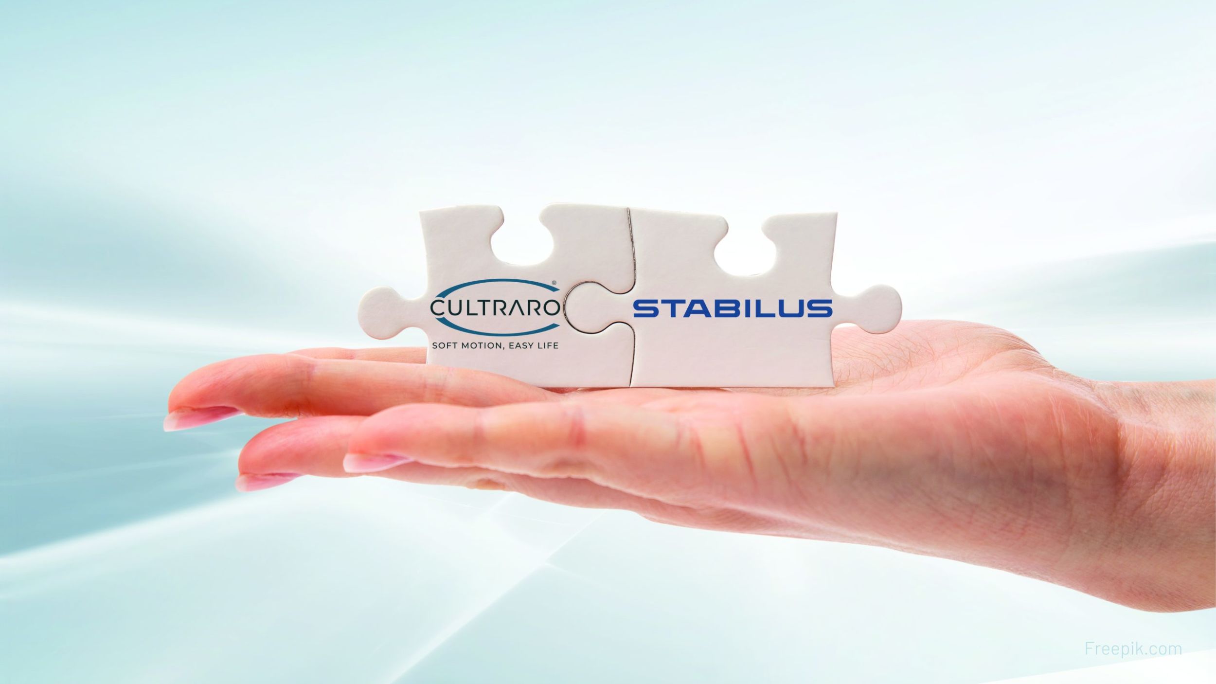 Strategische Partnerschaft