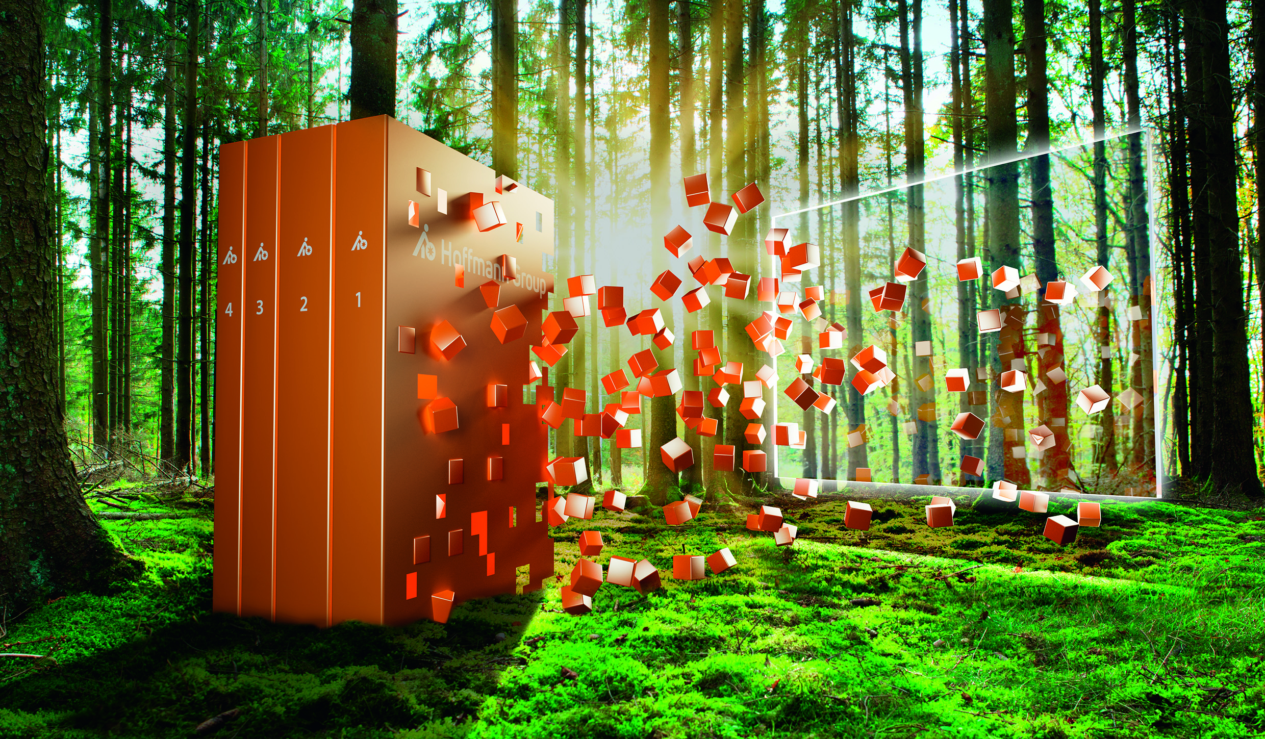 Summer,Forest,With,Bright,Sun,Shining,Through,The,Trees.