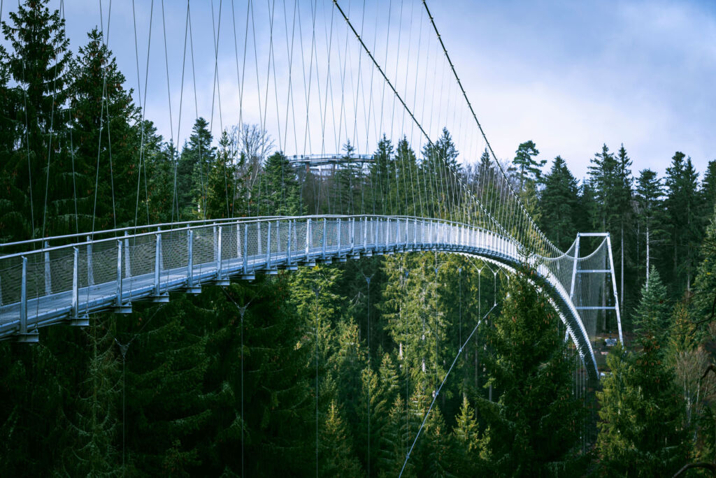 Die Wildline in Bad Wildbad stand Pate f&uuml;r die Namensgebung des neuen Logistikkonzepts von Vapic.