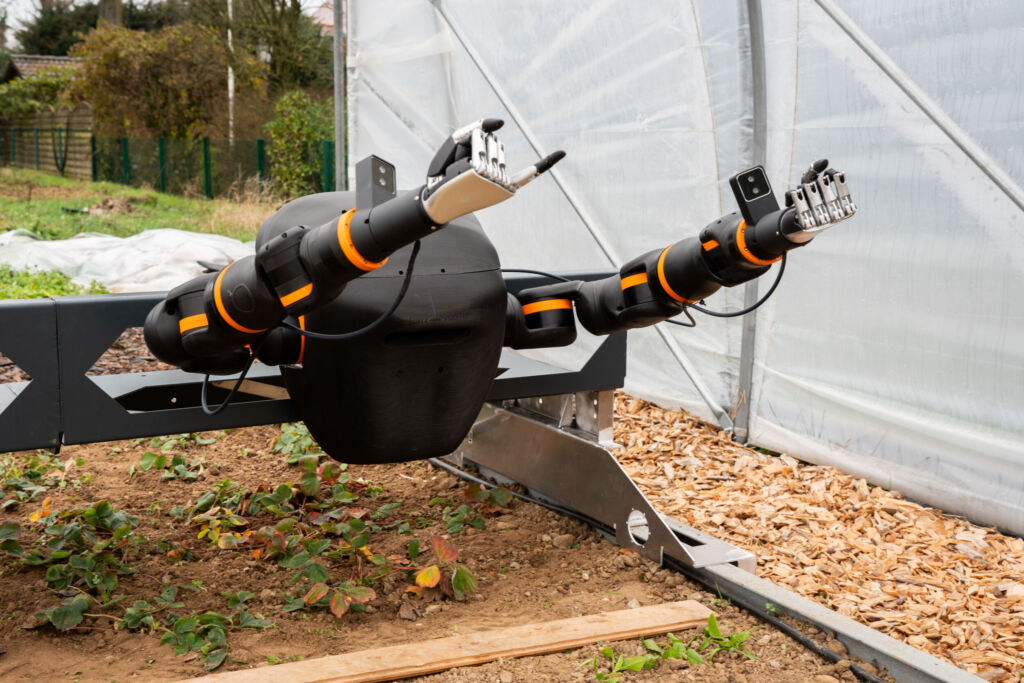 Für eine kostengünstige Lösung setzt AI.Land auf ReBeL-Cobot-Arme von Igus. Sie bestehen aus Hochleistungskunststoffen und sind so kostengünstig und einfach zu warten.