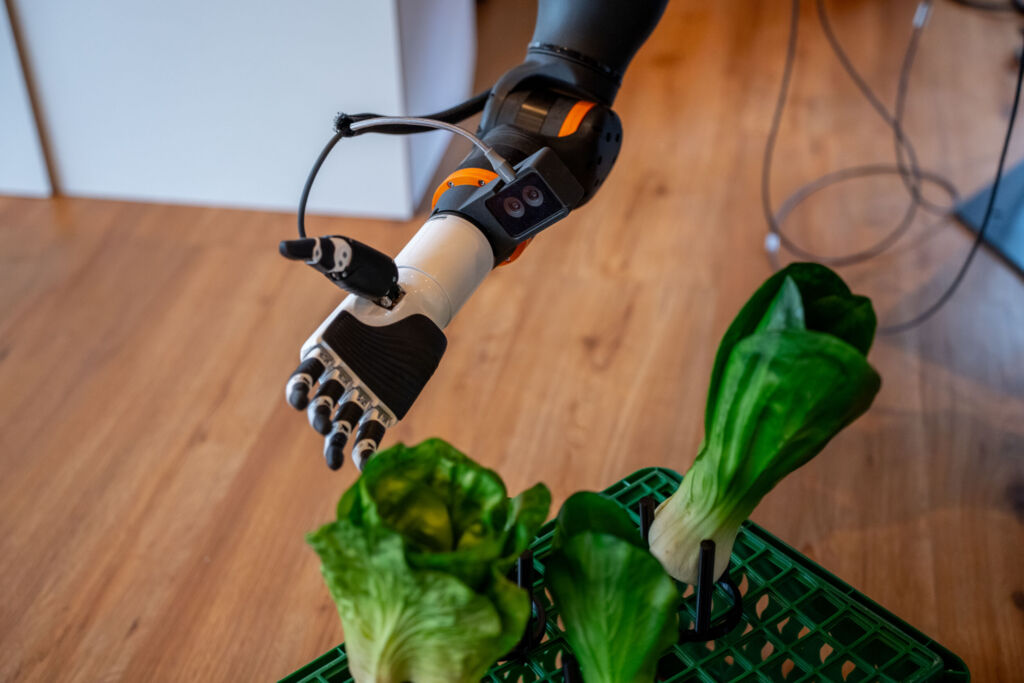 Das Greifen des Gemüses übernehmen selbst entwickelte Roboterhände von AI.Land, dafür nutzt das Unternehmen Teleoperation und KI.