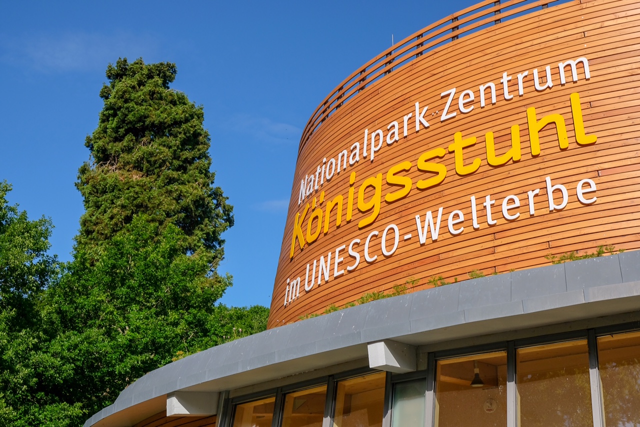 Rautenleisten aus Sibirischer Lärche für Rügens Nationalpark