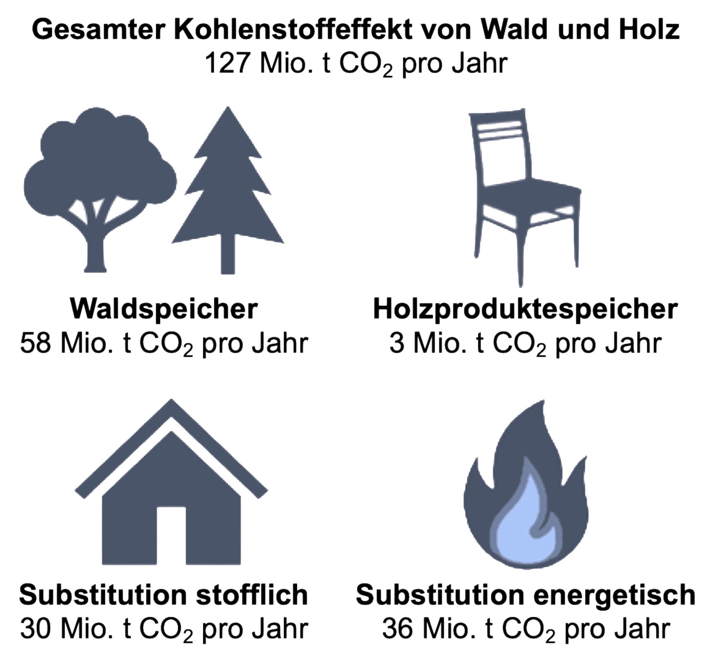 „Wir müssen den Waldumbau neu denken.“