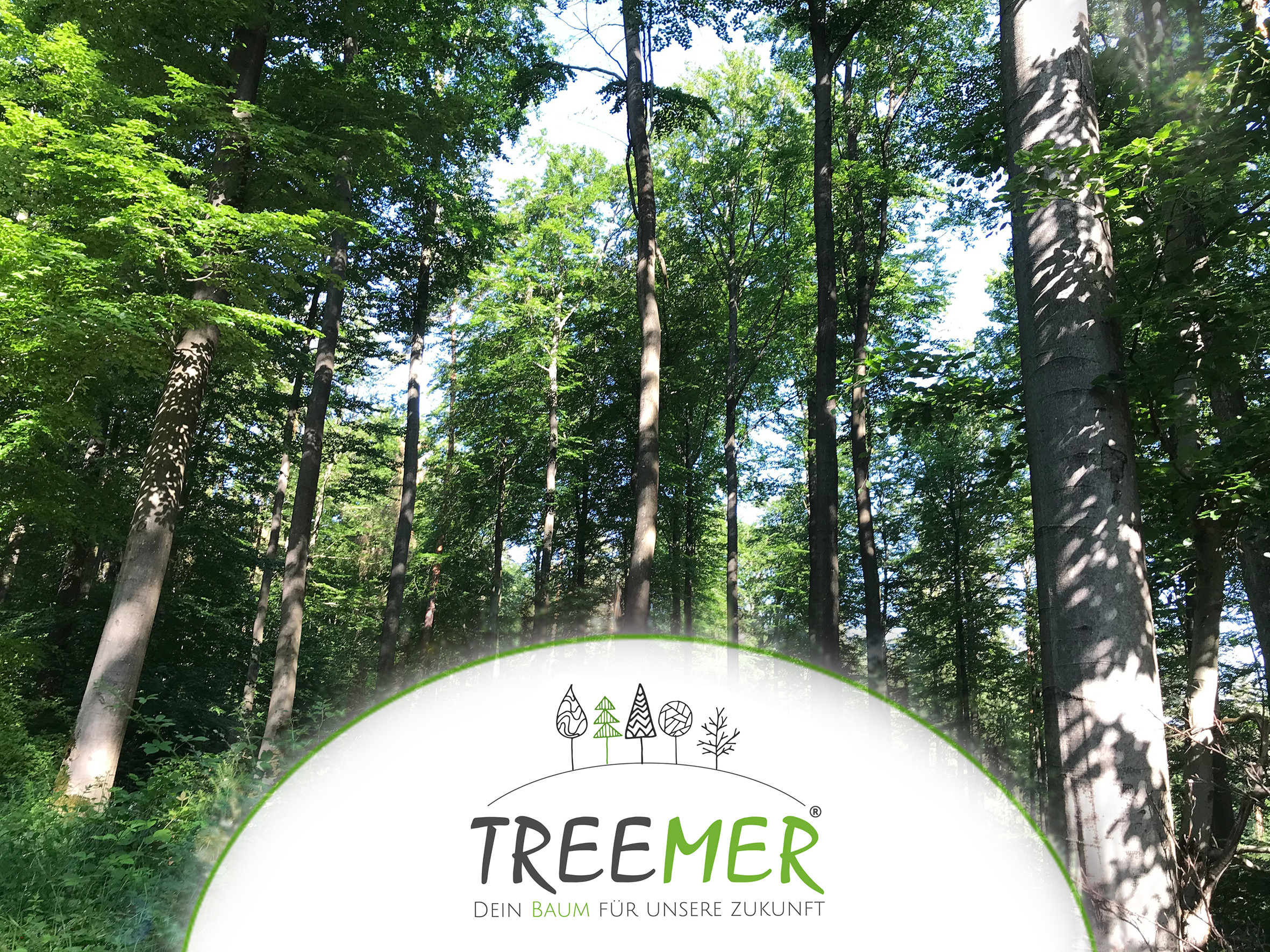 Für den Wald der Zukunft