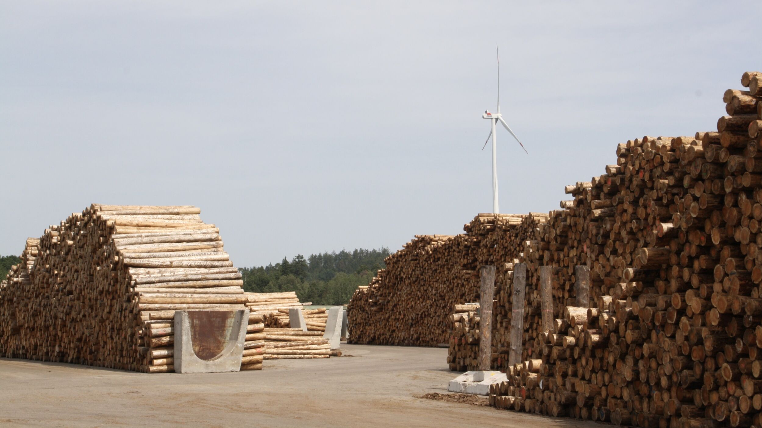 Klimaschutzprogramm 2023