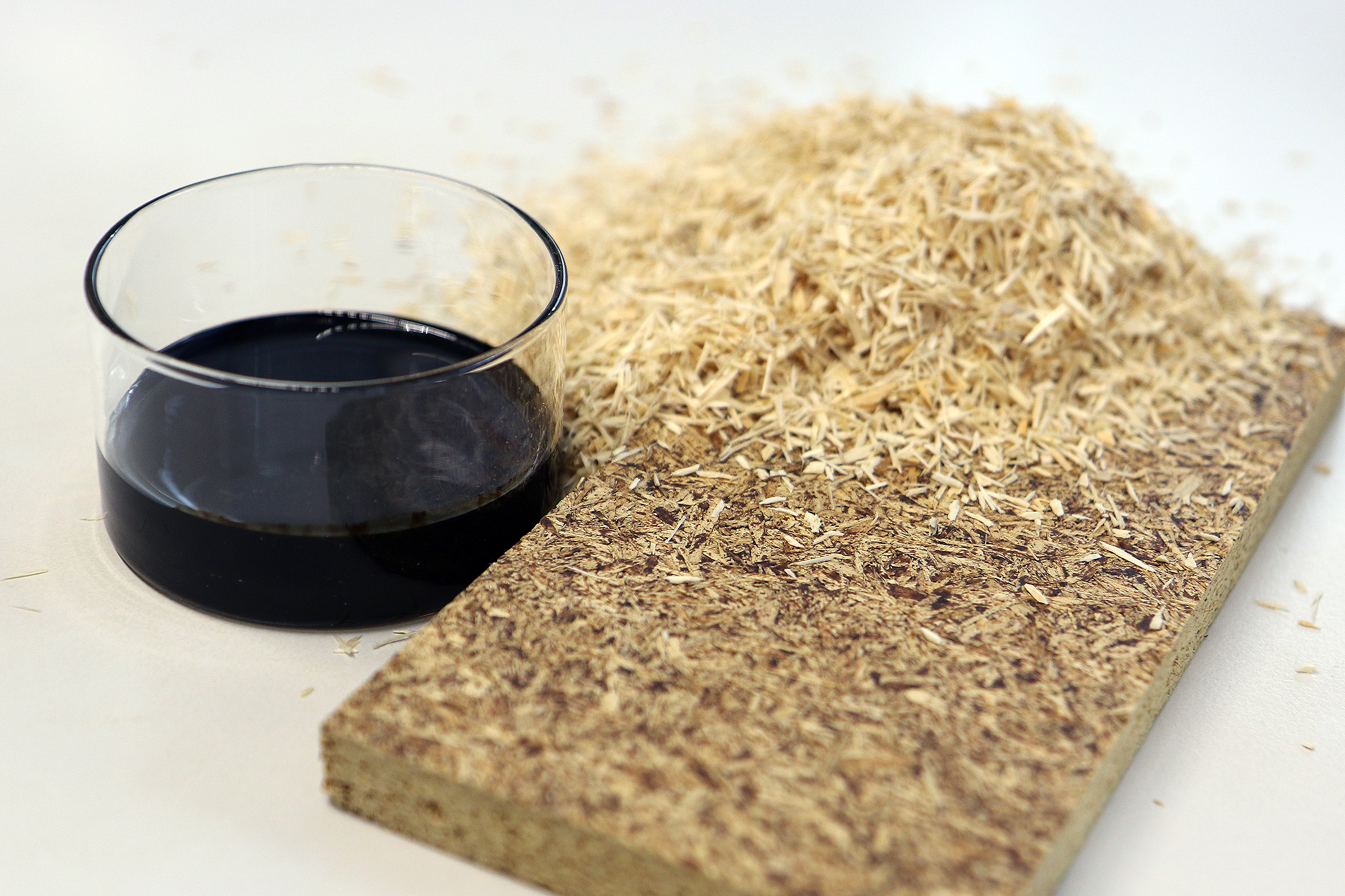 Zutaten für die Spanplatte der Zukunft: Biogenes, formaldehydfreies Lignin-HMF-Kondensationsharz und alternative Holzarten aus klimaresilienten Mischwäldern.