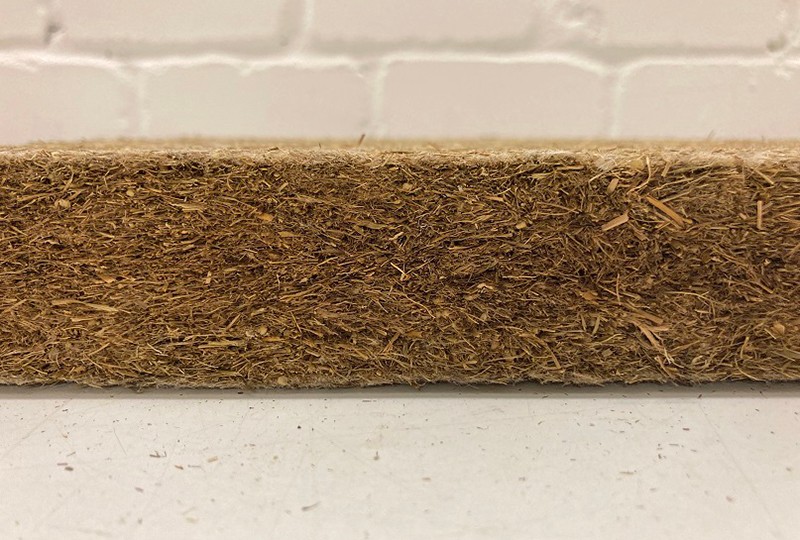 Forscher des Fraunhofer WKI haben gezeigt, dass sich Biomasse von Nasswiesen und wiedervernässten Moorflächen zu Naturfaserdämmstoffen verarbeiten lässt.
