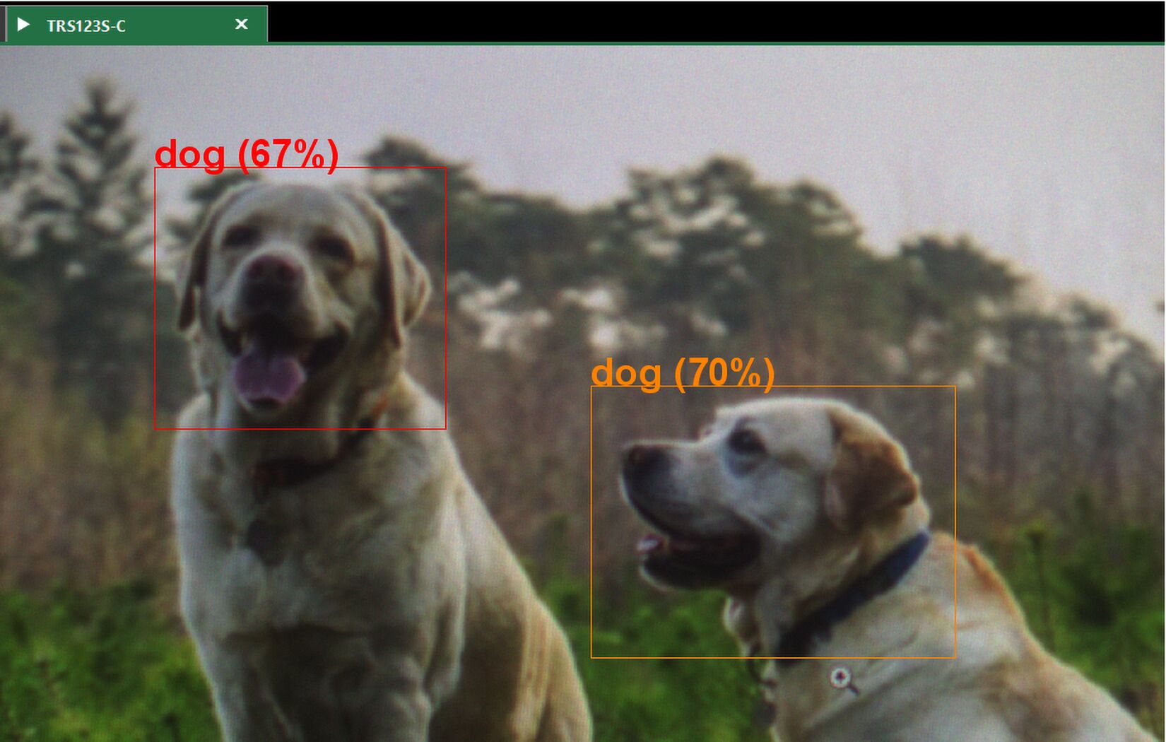 Image 1 | The Triton smart camera from Lucid has a dual ISP design that enables simultaneous image and AI processing. The integrated ISP of the IMX501 image sensor prepares the captured images as an input sensor for the AI engine.