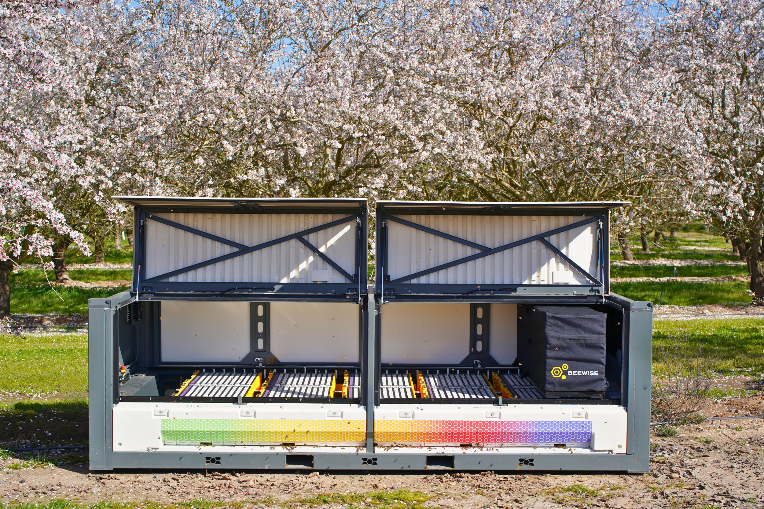 Das BeeHome bietet Platz für zwei bis zehn Bienenvölker und ist mit traditionellen, hölzernen Langstroth-Rahmen vergleichbar, außer dass nun ein Roboter die Rahmen extrahiert und nicht mehr ein Mensch.