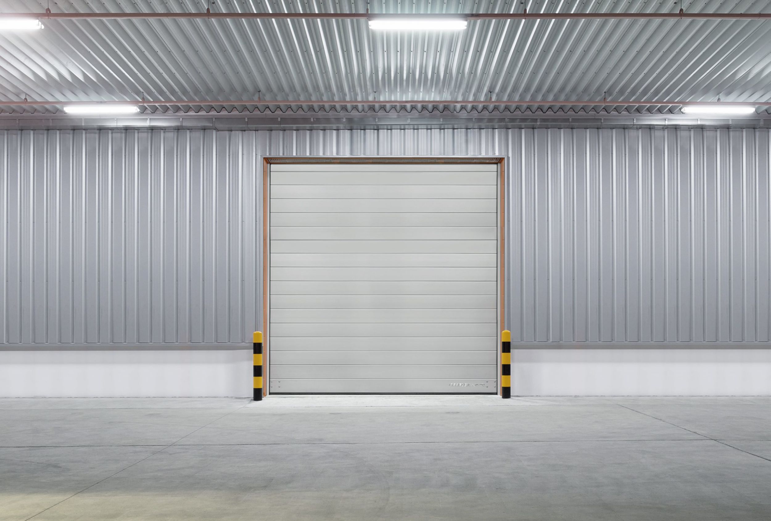 Newsletter 09 dhf 06 2020 scaled