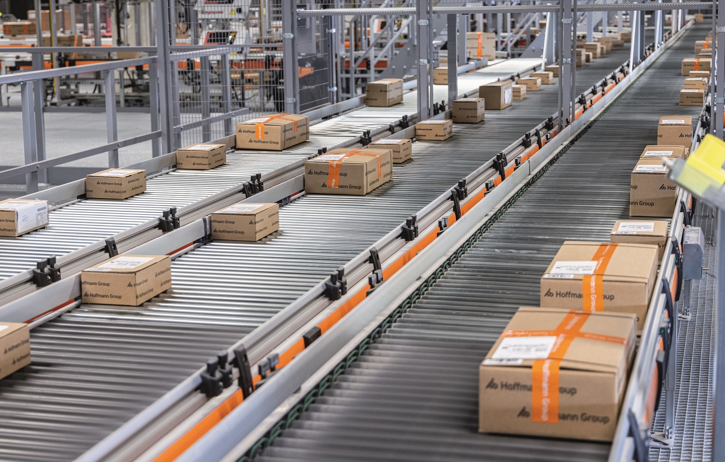 Newsletter 01 dhf 27 2024