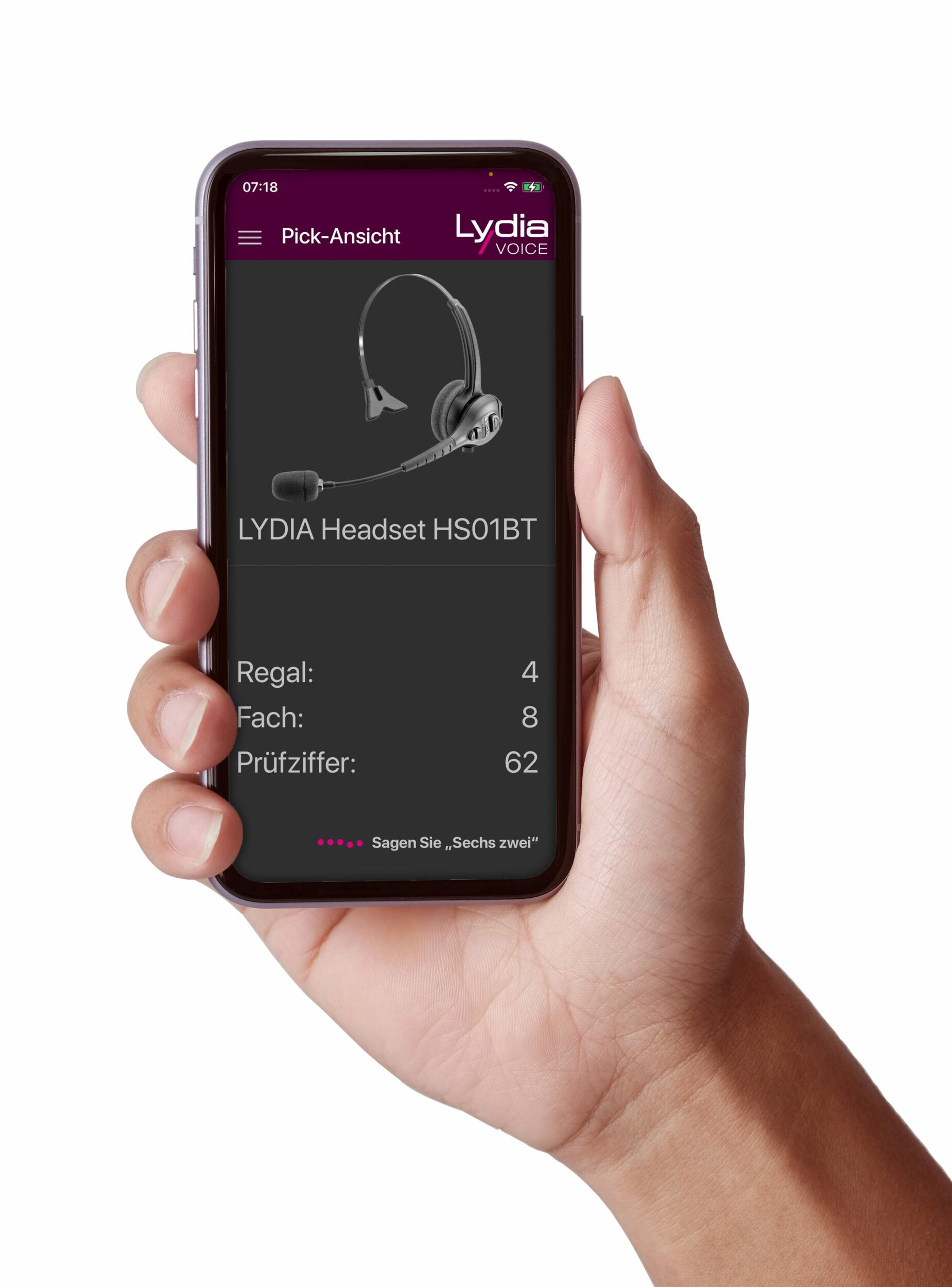 Lydia Release 9.1 umfassend testen
