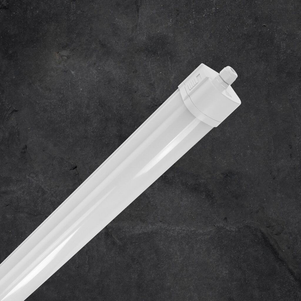 Newsletter 10 dhf 36 2024