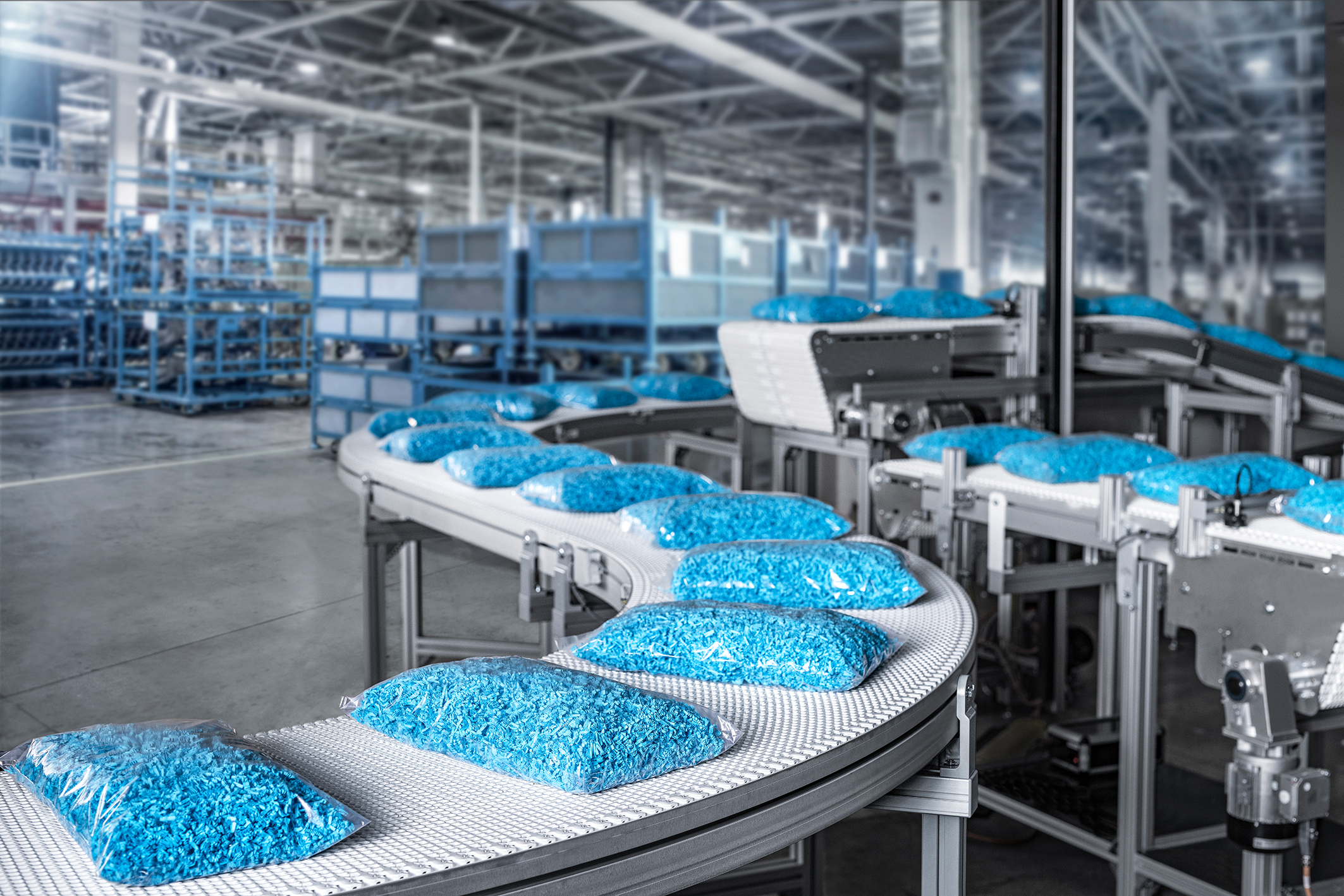 Newsletter 01 dhf 41 2024