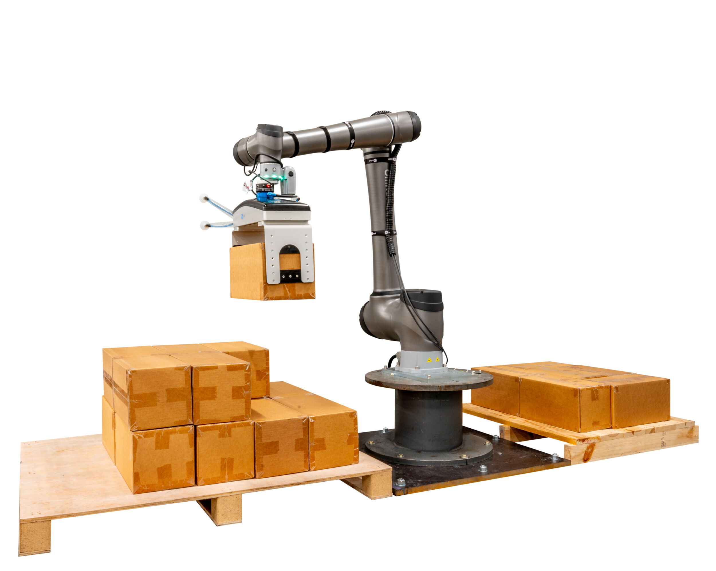 Newsletter 08 dhf 47 2024