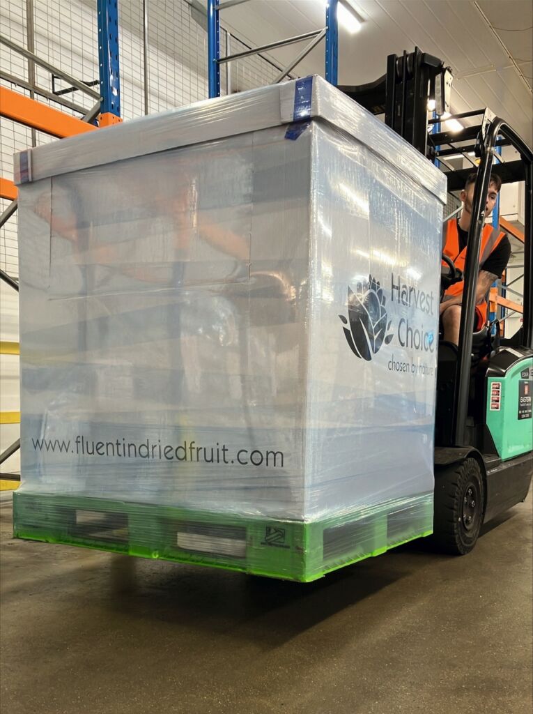 Newsletter 09 dhf 49 2024