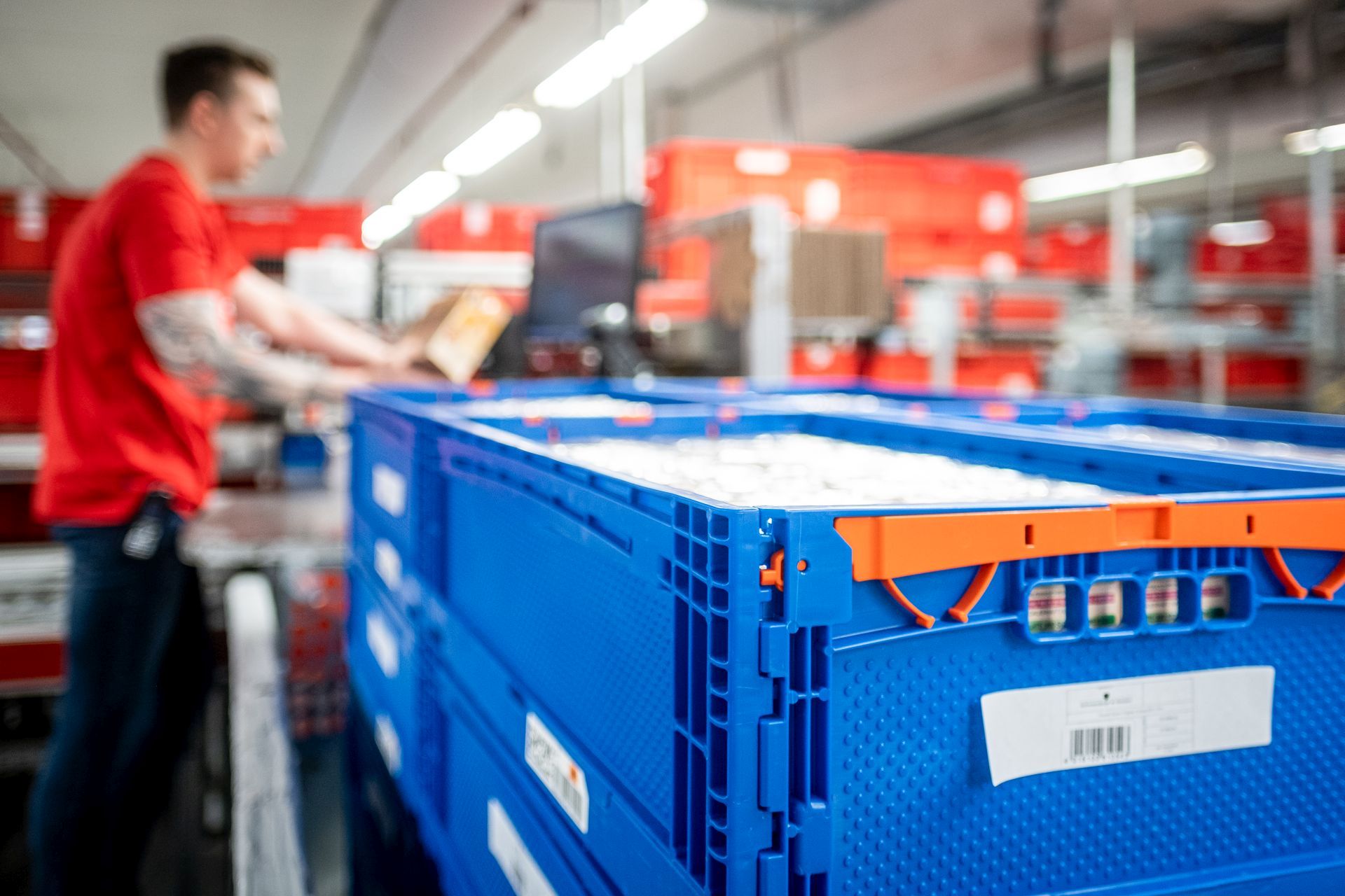 [R]evolution für Supply Chain und Nachhaltigkeit