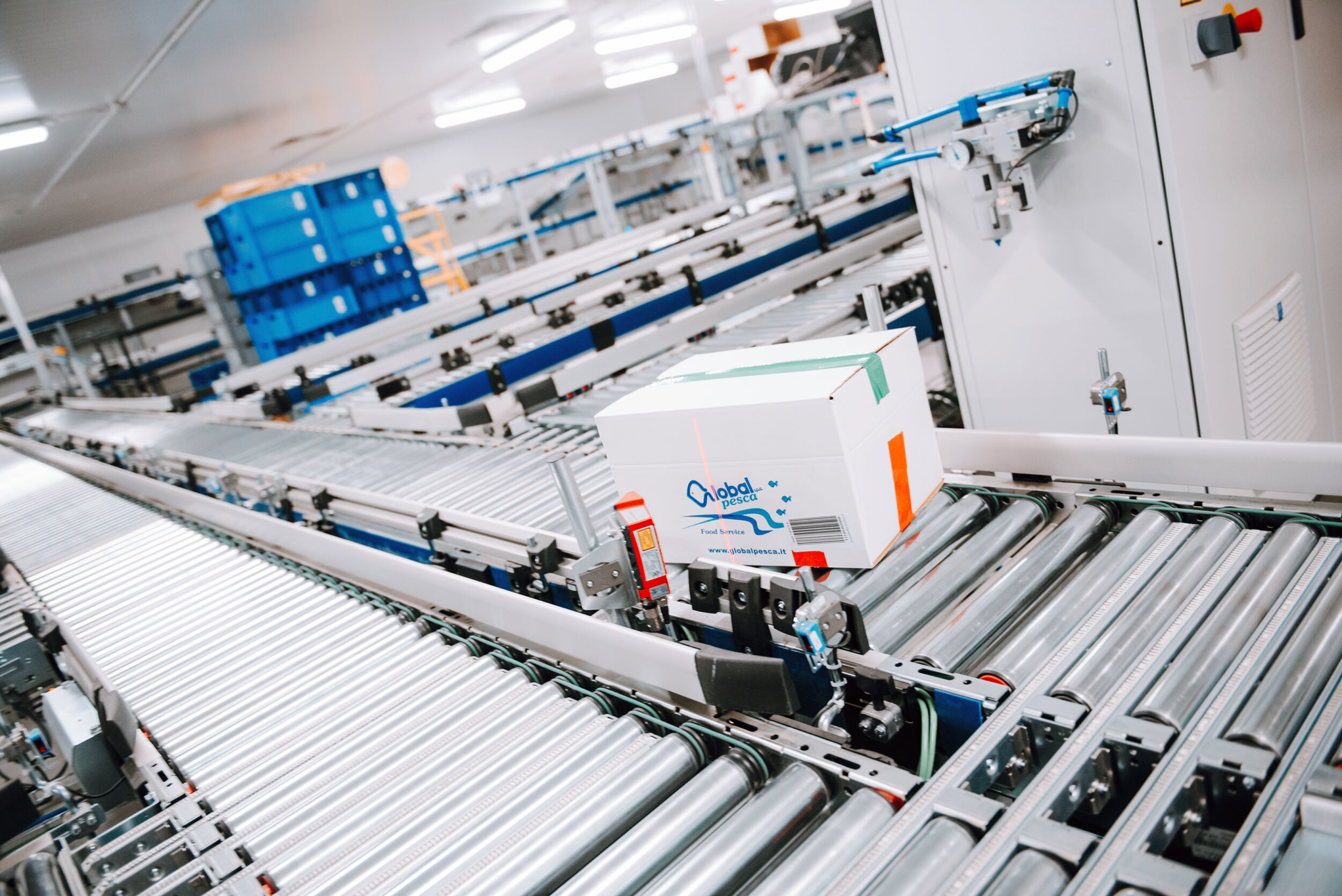 Neues Tiefkühllager automatisiert