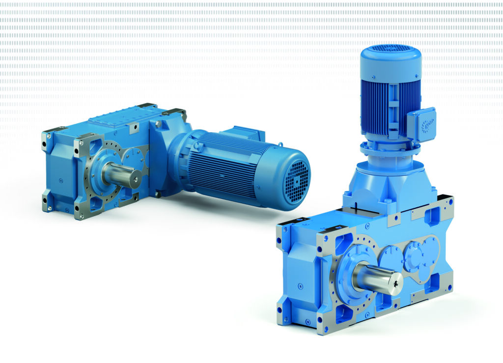 Newsletter 08 dhf 03 2025