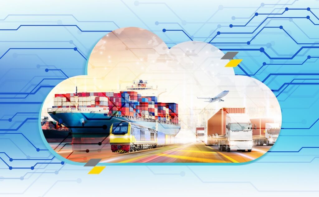 Newsletter 05 dhf 08 2025