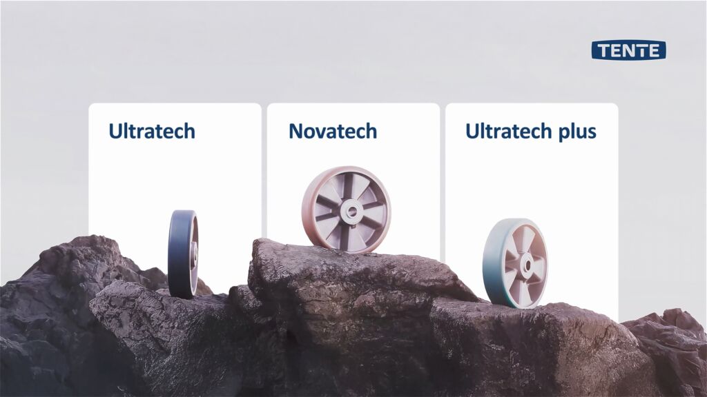 Newsletter 10 dhf 11 2025