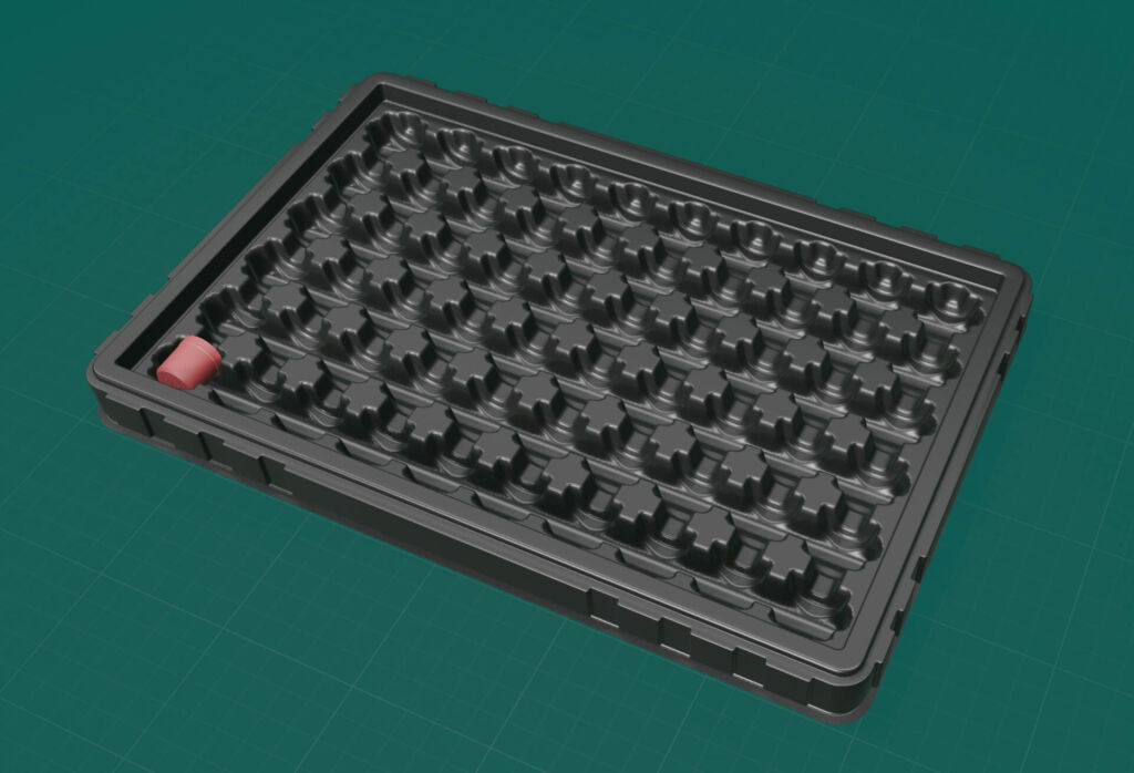 Newsletter 09 dhf 19 2025