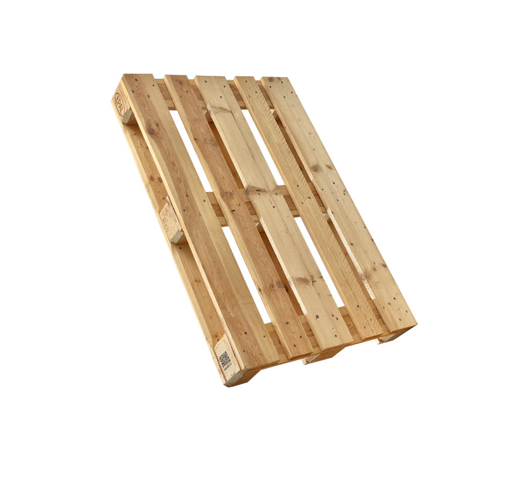 Newsletter 08 dhf 25 2025