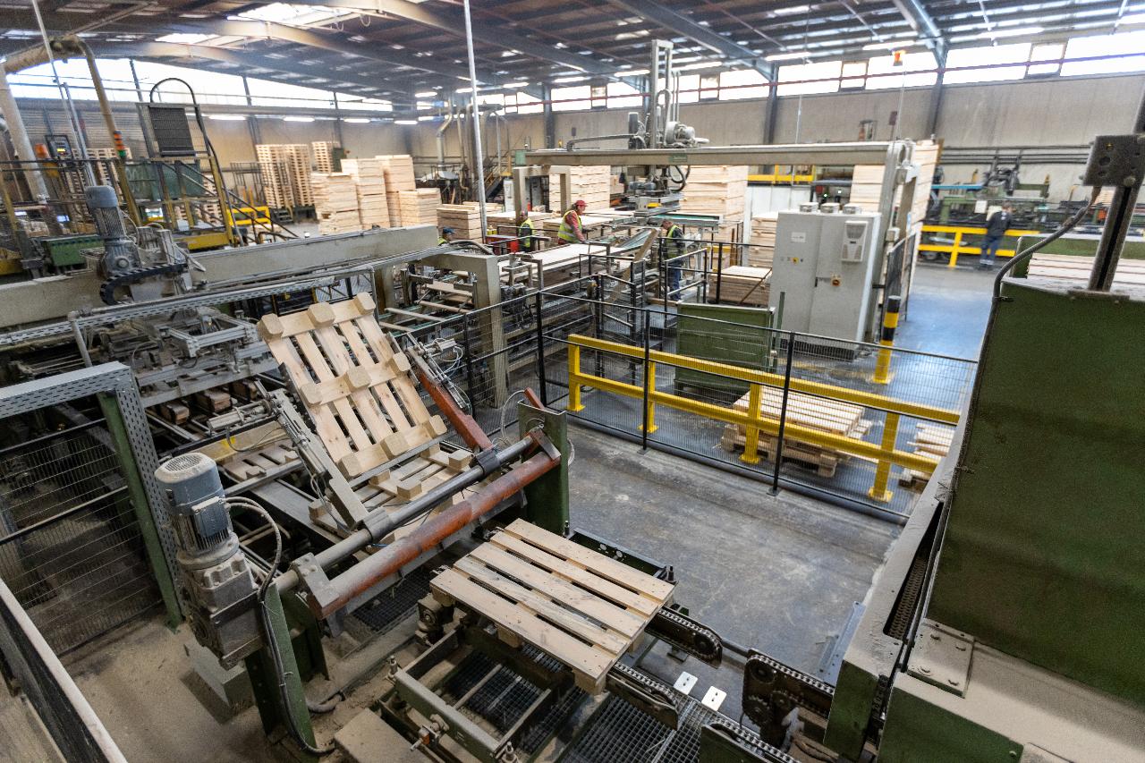 Newsletter 08 dhf 39 2025