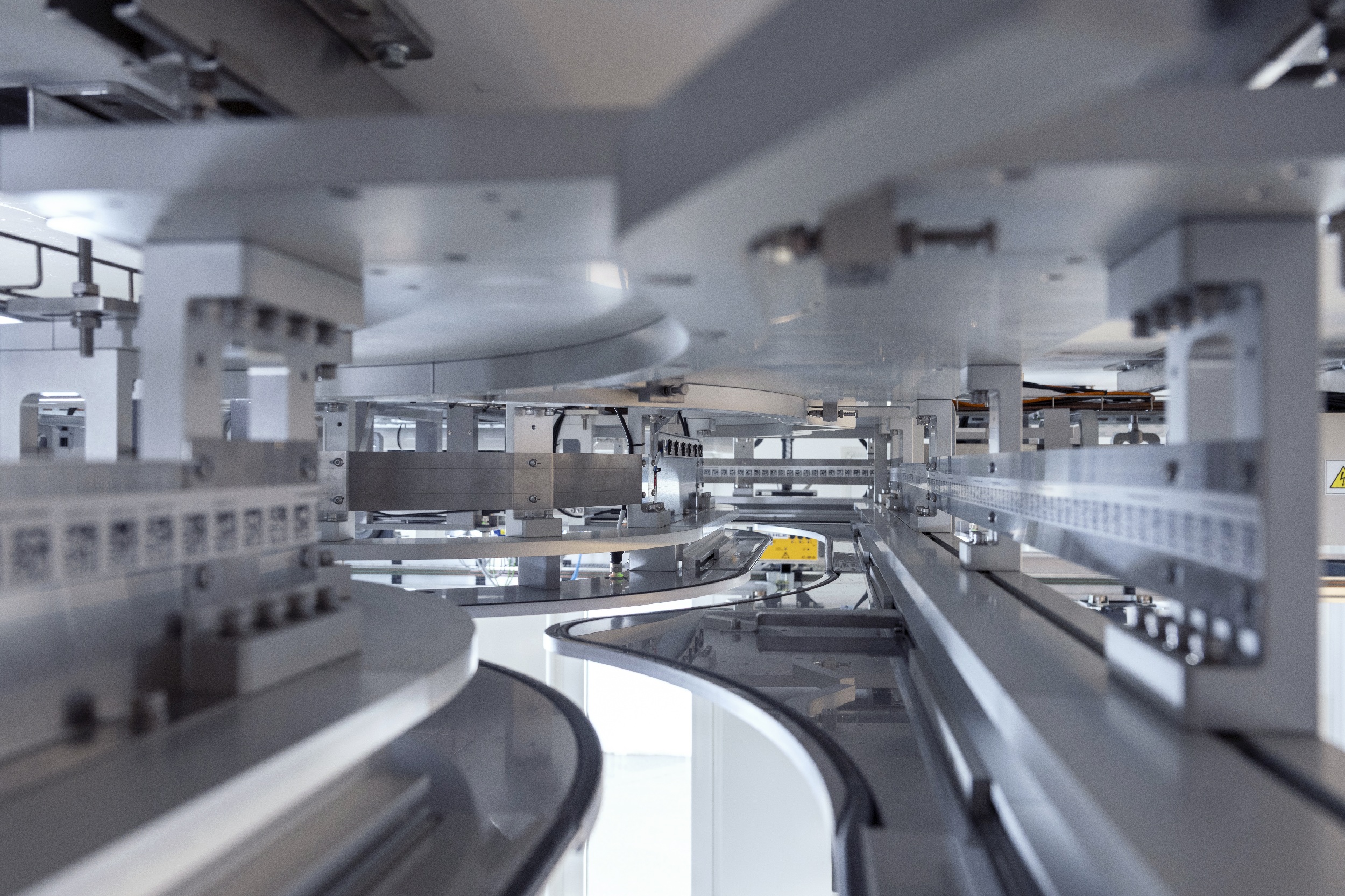 Newsletter 06 dhf 19 2026