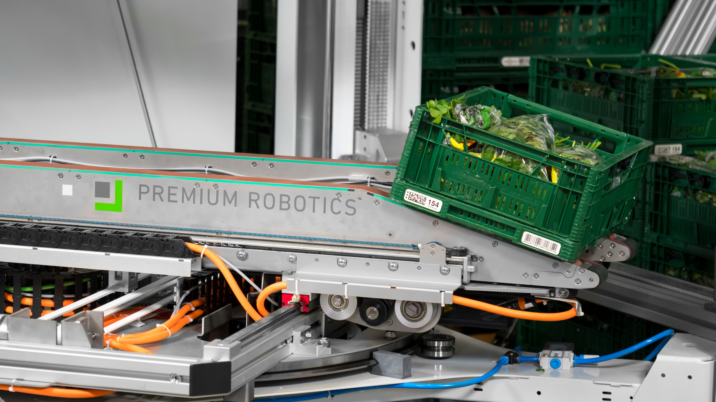 Newsletter 07 dhf 19 2026