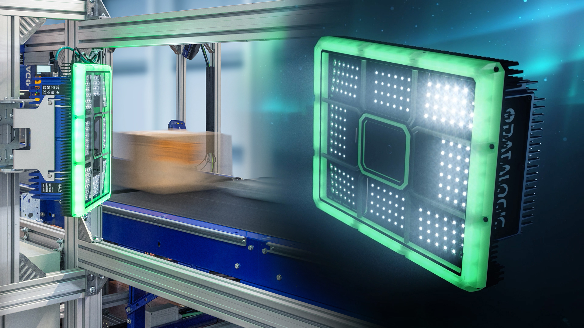 Newsletter 10 dhf 19 2026