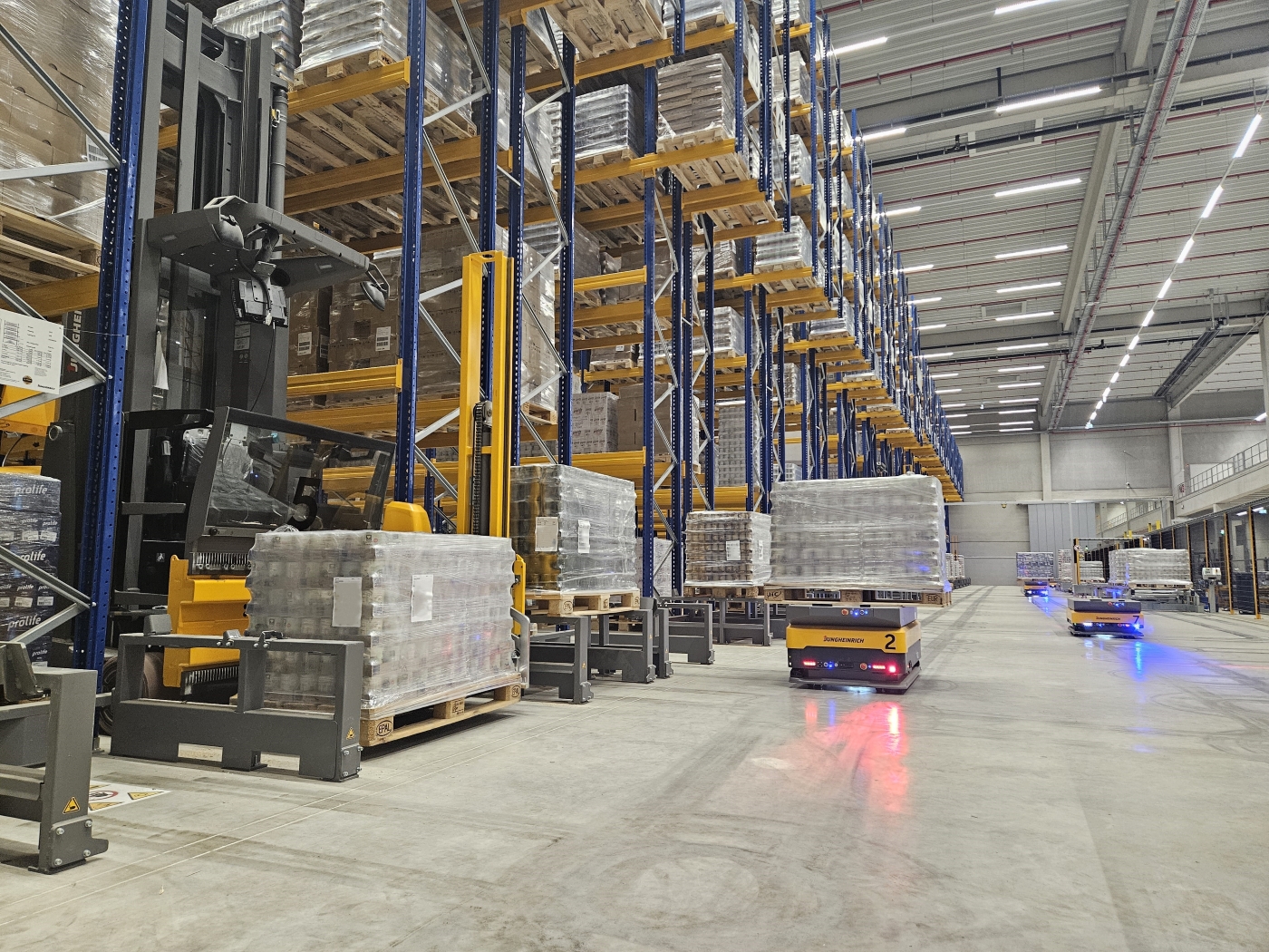Newsletter 01 dhf 27 2026